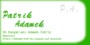 patrik adamek business card